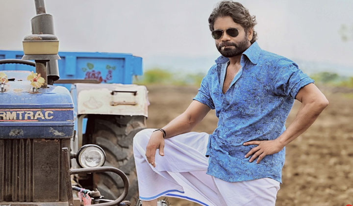 King Nag: నా సామి రంగ… ఎత్తుకెళ్లి పోవాలనిపిస్తుందే…