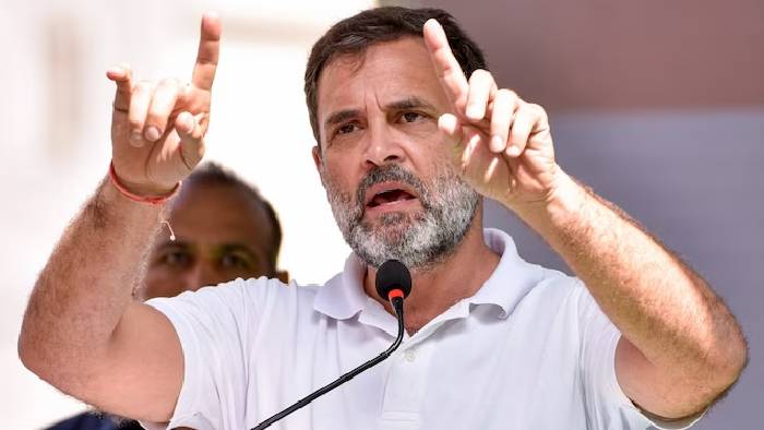 Rahul Gandhi: రాహుల్ గాంధీ ‘పిక్‌పాకెట్’ వ్యాఖ్యలు.. చర్యలు తీసుకోవాలని ఈసీకి హైకోర్టు ఆదేశాలు..