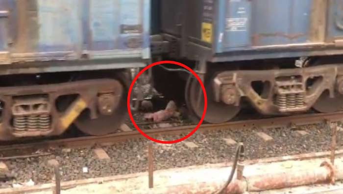 Suicide Attempt: వృద్ధుడిపై నుంచి వెళ్లిన రైలు.. అయినా బతికి బట్టకట్టాడు..