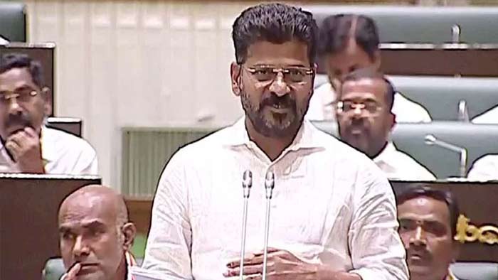 Revanth Reddy: సత్యహరిచంద్రుడు లెక్క హరీష్ మట్లాడుతున్నారు..