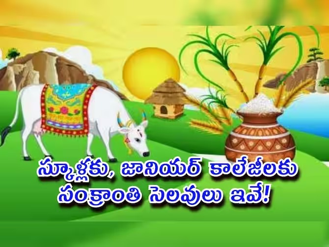 Sankranthi