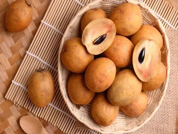 Winter Season: చలికాలంలో సపోటా తినడం వల్ల కలిగే ప్రయోజనాలు ఏంటో తెలుసా?