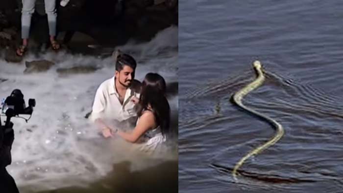 Viral Video: నదిలో వధువరుల ప్రీ వెడ్డింగ్ షూట్.. మధ్యలో వచ్చిన అనుకోని అతిథి
