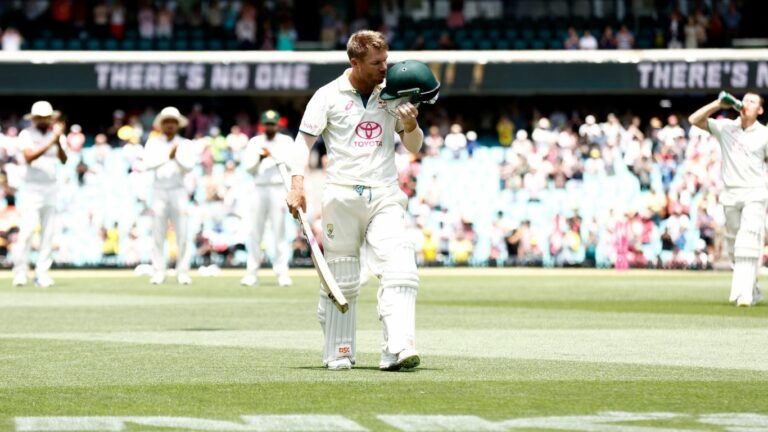 David Warner: అభిమానులను అలరించడానికే నిత్యం ప్రయత్నించా.. వీడ్కోలు సందర్భంగా వార్నర్‌ భావోద్వేగం!