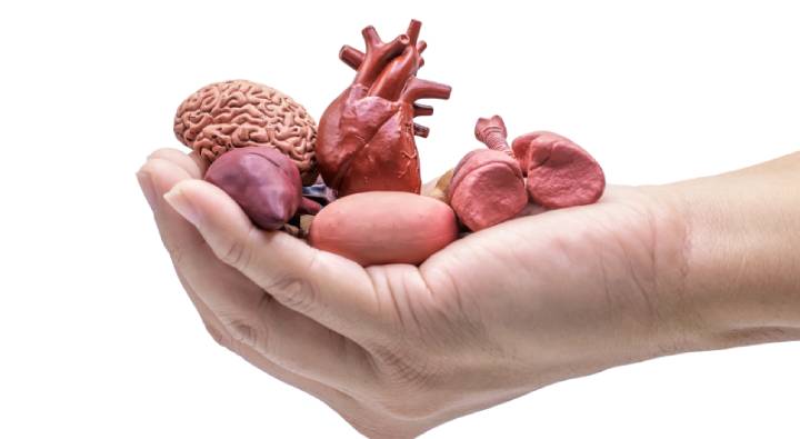 America : జైలులో ఖైదీలు మృతి.. ఇంటికి వచ్చిన మృతదేహాల్లో గుండె సహా అవయవాలు మాయం