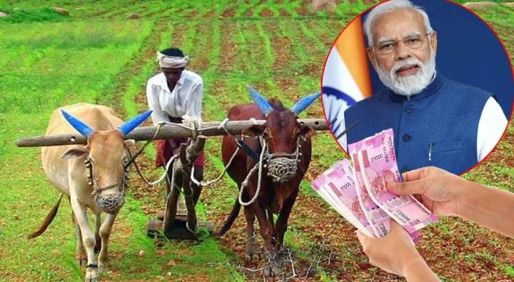 Budget 2024: బడ్జెట్‌లో వ్యవసాయ రుణాల లక్ష్యాన్ని రూ.22-25 లక్షల కోట్లకు పెంచే అవకాశం