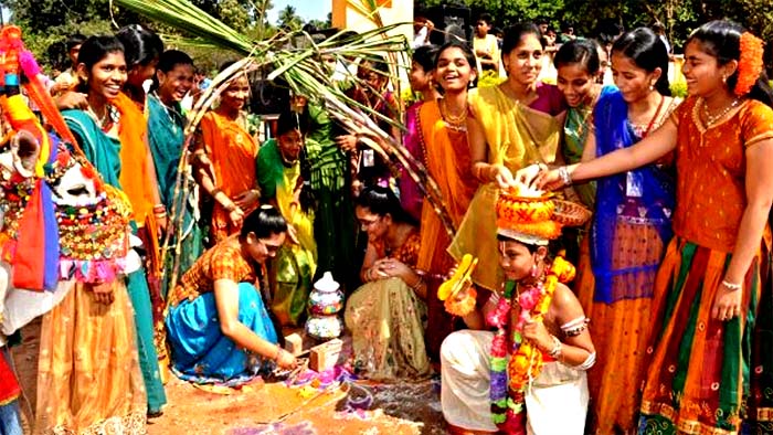 Sankranthi Fastivel