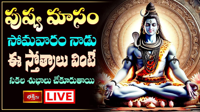 Shiva Stotram: ఈ స్తోత్రాలు వింటే సకల శుభాలు చేకూరుతాయి.