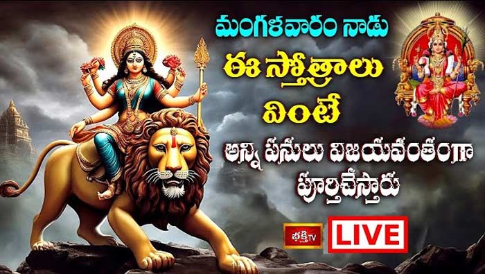 Sri Lalitha Sahasranama Stotram: ఈరోజు ఈ స్తోత్రాలు వింటే అన్ని పనులు విజయవంతంగా పూర్తిచేస్తారు