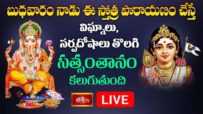 Vinayaka Stotram: ఈ స్తోత్ర పారాయణం చేస్తే విఘ్నాలు, సర్పదోషాలు తొలగిపోతాయి