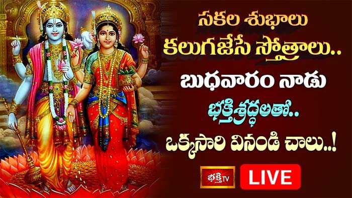 Vishnu Stotram: బుధవారం నాడు సకల శుభాలు కలుగజేసే స్తోత్రాలు