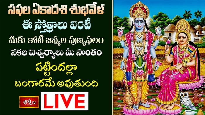 Vishnu Stotram: ఈ స్తోత్రాలు వింటే సకల ఐశ్వర్యాలు మీ సొంతం