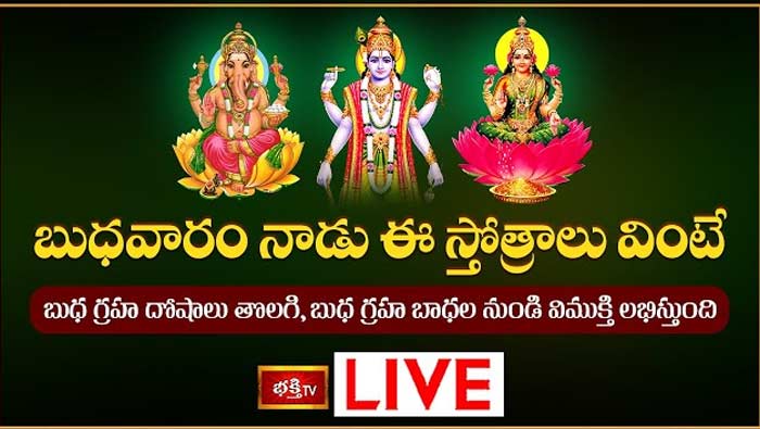 Wednesday Special: నేడు ఈ స్తోత్రాలు వింటే దోషాలు తొలగి, బుధ గ్రహ బాధల నుండి విముక్తి
