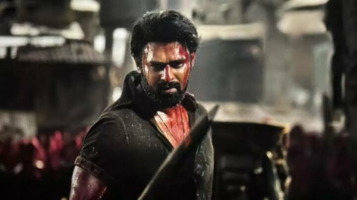 Salaar : ఓటీటీ లో ప్రభాస్ సలార్ మూవీ.. వైరల్ అవుతున్న ప్రభాస్ వీడియో..