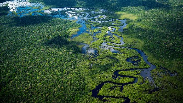 Amazon Rainforest: అమెజాన్ అడవుల్లో వెలుగులోకి పురాతన నగరం.. దీని విశేషాలు ఇవే..