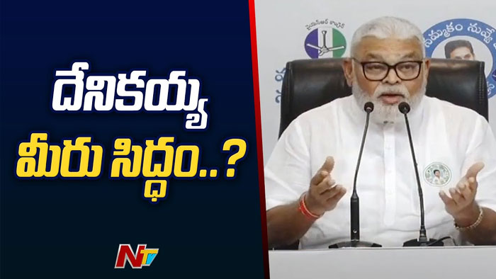 Ambati Rambabu: చంద్రబాబు ఆంబోతు వ్యాఖ్యలకు అంబటి పచ్చబొట్టు కౌంటర్..