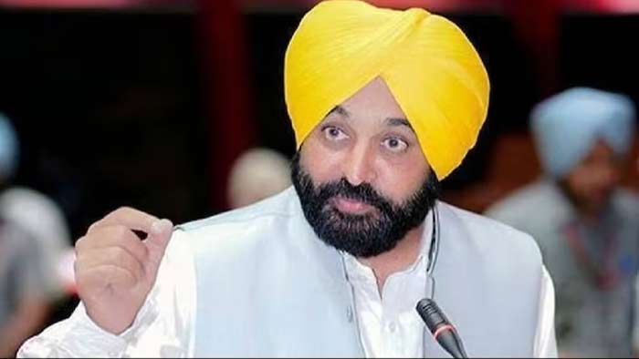 CM Bhagwant Mann: పంజాబ్‌లో ఆప్ 13 సీట్లు గెలుస్తుంది.. సీఎం కీలక వ్యాఖ్యలు..