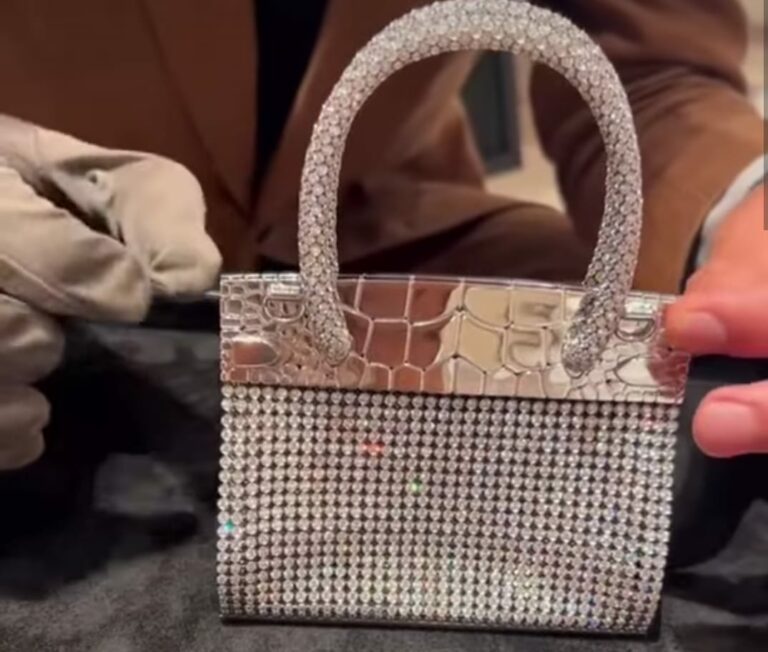 Costly Bag : ఈ బుజ్జి బ్యాగ్ ధర తెలిస్తే ఫ్యూజులు అవుటే.. అన్ని కోట్లా?