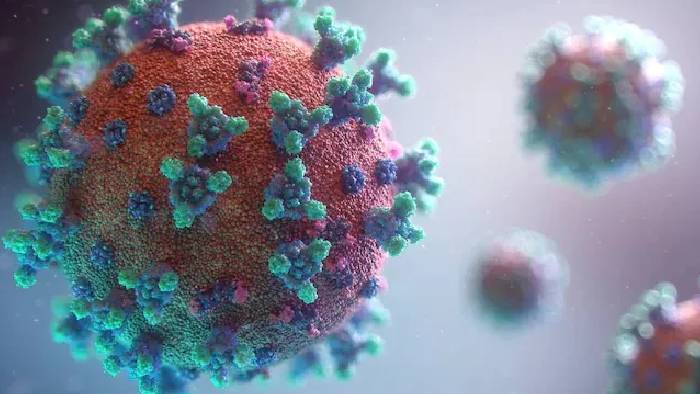 Covid Sub-Variant JN.1: మాల్దీవుల నుంచి ఇండియాకు వచ్చిన మహిళకి JN.1 వేరియంట్ పాజిటివ్..