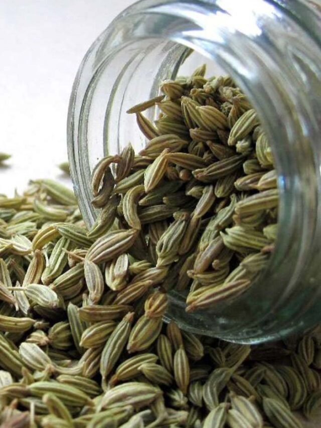 Fennel Seeds భోజనం తింటూనే సోంపు గింజలు నమిలితే? NTV Telugu