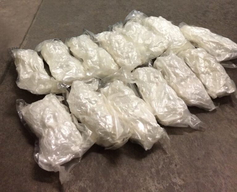 Assam : రూ. 68.41 కోట్ల విలువైన డ్రగ్స్ ను సీజ్ చేసిన అధికారులు..