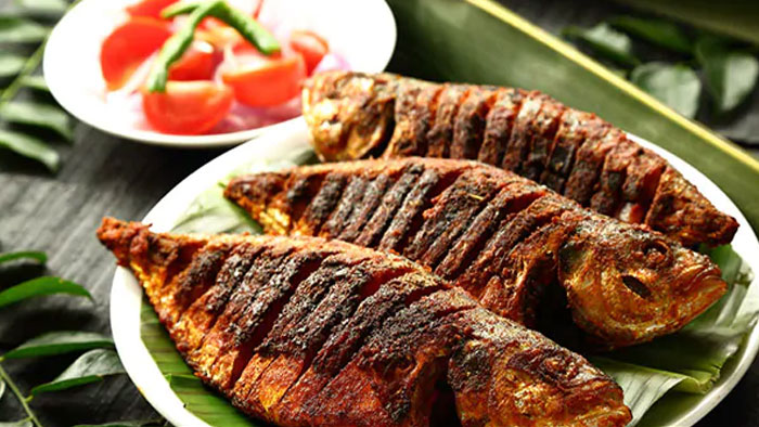 Fish Meat: ల్యాబ్ లో చేప మాంసం ఉత్పత్తి.. దేశంలోనే తొలి ప్రాజెక్ట్..