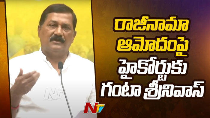 Ganta Srinivas: తన రాజీనామా ఆమోదంపై హైకోర్టు మెట్లెక్కిన గంటా శ్రీనివాస్..