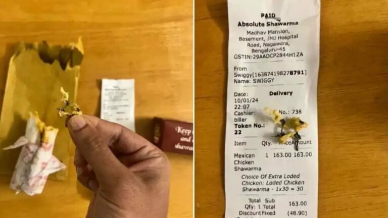 Viral News : ఆన్‌లైన్‌లో ఫుడ్ ఆర్డర్‌ చేసిన కస్టమర్‌.. అందులో వచ్చింది చూసి షాక్..