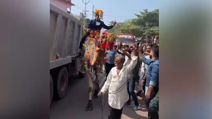 Kerala: ఒంటెపై పెళ్లి ఊరేగింపు.. వరుడిపై కేసు నమోదు