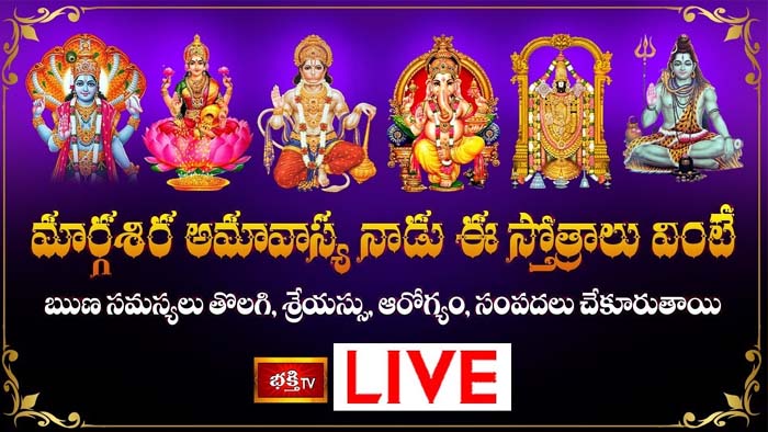 Margasira Amavasya: మార్గశిర అమావాస్య నాడు ఈ స్తోత్రాలు వింటే ఋణ సమస్యలు తొలగిపోతాయి