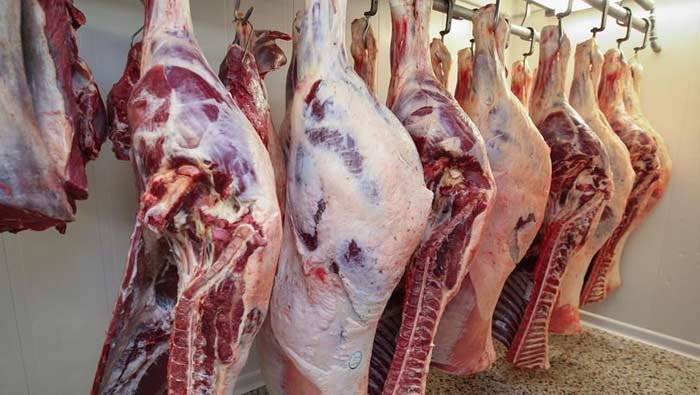 NO Meat : హైదరాబాద్‌ వాసులకు అలర్ట్‌.. రేపు మటన్‌, చికెన్‌ బంద్‌