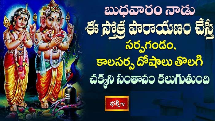 SriGaneshaStotraParayanam: బుధవారం నాడు ఈ స్తోత్ర పారాయణం చేస్తే సర్పగండం, కాలసర్ప దోషాలు తొలగి చక్కని సంతానం కలుగుతుంది