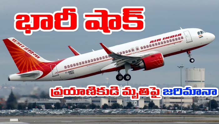 Air India: ప్రయాణికుడి మృతికి కారణమైన ఎయిరిండియాకు భారీ జరిమానా
