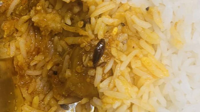 Vande Bharat Train: “వందేభారత్ ట్రైన్” భోజనంలో బొద్దింక.. స్పందించిన రైల్వే..