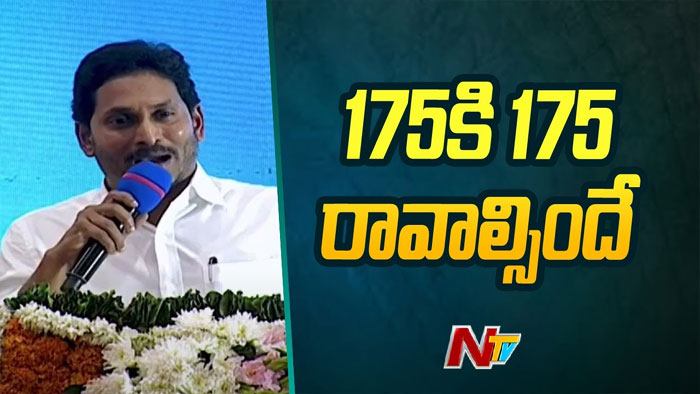 CM Jagan: 175 నియోజకవర్గాల్లో వైసీపీ జెండా ఎగురవేయాలి.. నేతలకు దిశానిర్దేశం