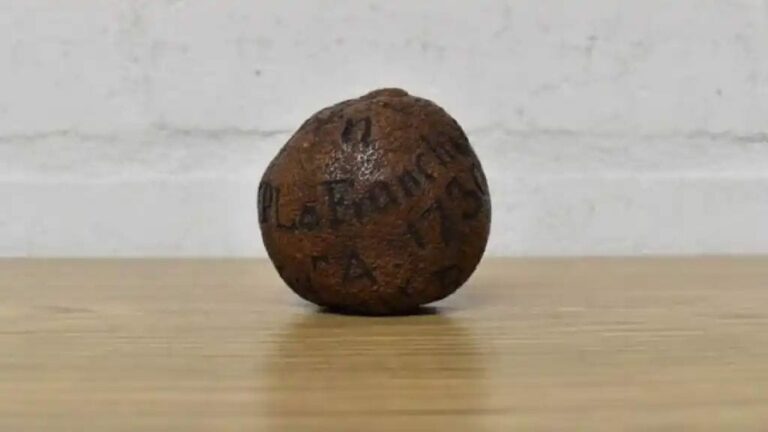 Lemon : పాడై పోయిన నిమ్మకాయ లక్షన్నర.. ఎందుకో తెలిస్తే షాక్ అవుతారు..