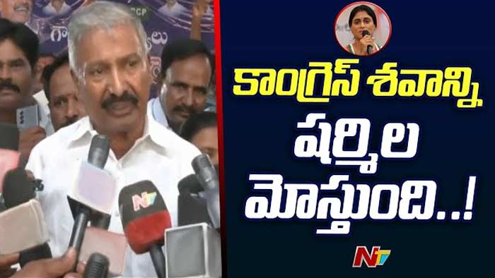 Minister Peddireddy: ఆ నలుగురు కాంగ్రెస్‌ శవాన్ని మోస్తున్నారు.. ఇంకెవరైనా ఉంటే ఉట్టి పట్టుకునేందుకు ఉంటుంది..!