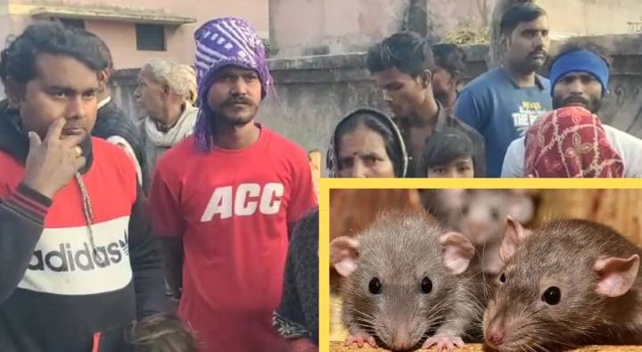 UP : బాలిక కళ్లు కొట్టేసిన ఎలుకలు.. ఆస్పత్రి సిబ్బందితో గొడవకు దిగిన కుటుంబ సభ్యులు