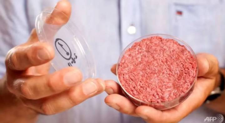 Lab Grown Meat : ల్యాబుల్లో తయారైన మాంసం హలాల్ కాదా? ప్రపంచవ్యాప్తంగా చర్చ ?