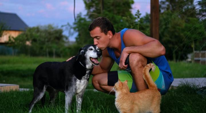 Pet Insurance : మీ కుక్క తప్పిపోయిందా.. మరి ఇన్సూరెన్స్ చేయించారా.. అయితే డబ్బులొస్తాయి