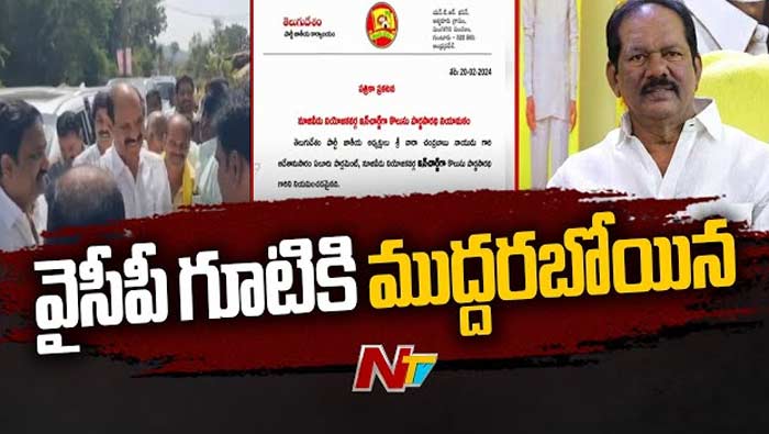 Nuzvid: నూజివీడులో ఆసక్తికర పరిణామాలు.. ఇంఛార్జ్‌ని ప్రకటించిన టీడీపీ