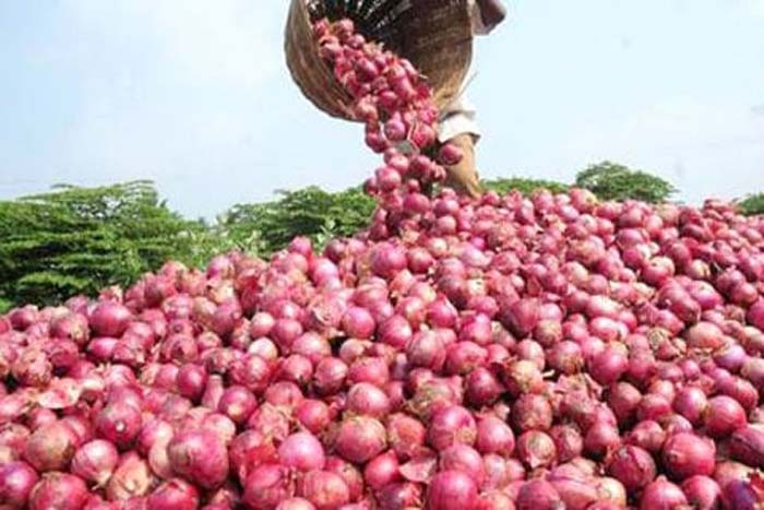 Onion Exports: ఉల్లి ఎగుమతులపై కేంద్రం కీలక నిర్ణయం