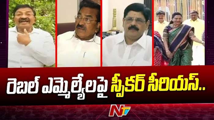 Rebel Mlas