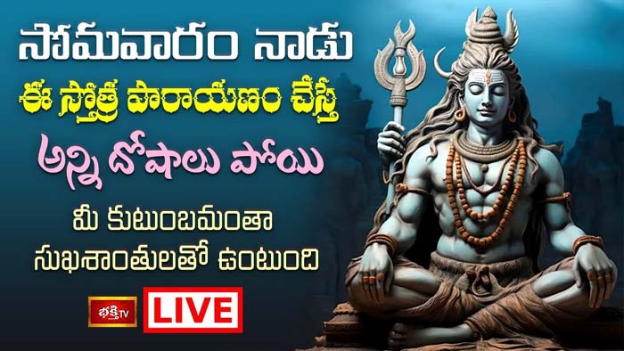 Shiva Parayanam: సోమవారం నాడు ఈ స్తోత్ర పారాయణం చేస్తే సుఖశాంతులతో ఉంటుంది