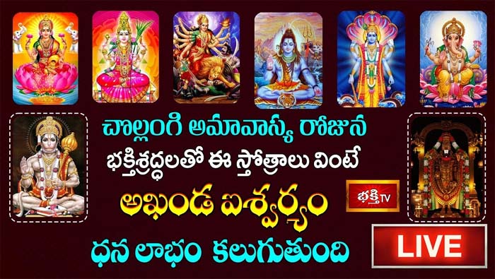 Chollangi Amavasya: భక్తిశ్రద్ధలతో ఈ స్తోత్రాలు వింటే ధన లాభం కలుగుతుంది