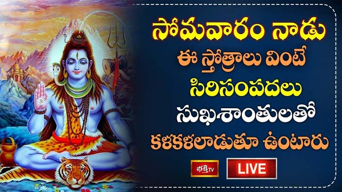 Shiva Stotram: సోమవారం ఈ స్తోత్రాలు వింటే సిరిసంపదలు కలుగుతాయి