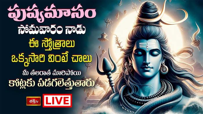 Shiva Stotram: ఈ స్తోత్రాలు వింటే మీ తలరాత మారిపోయి కోట్లకు పడగలెత్తుతారు