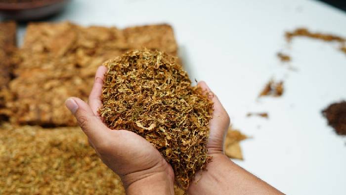 Tobacco: పొగాకు అడిగితే ఇవ్వలేదని హత్య.. వదిన, ఆమె కొడుకుపై దాడి..