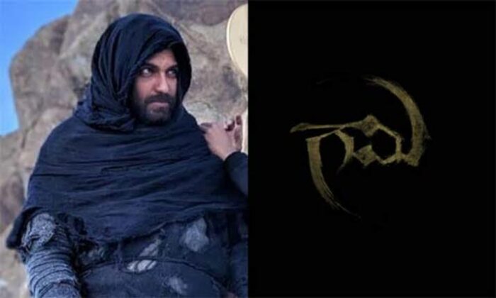 Gaami : విశ్వక్ సేన్ గామి ఓటీటీ పార్ట్నర్ ఫిక్స్..?