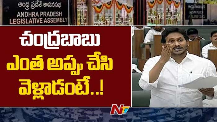 CM YS Jagan: చంద్రబాబు చేసిన అప్పులు..! అసెంబ్లీలో బయటపెట్టిన సీఎం జగన్‌